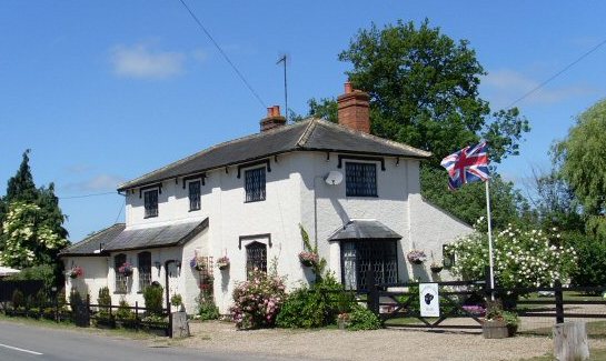 Brampton Dog - Bed & Breakfast