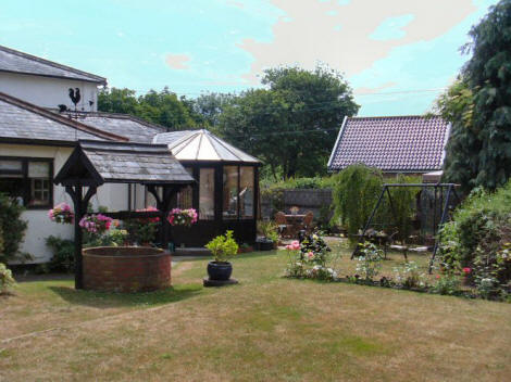 The gardens at Brampton Dog