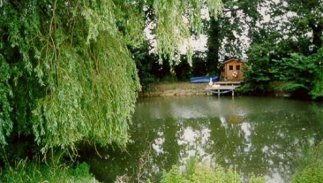 The pond at Brampton Dog